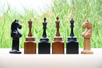 wood_chess_trophies_01