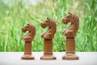 wood_horse_trophy_02