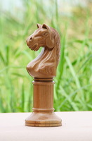 wood_horse_trophy_04