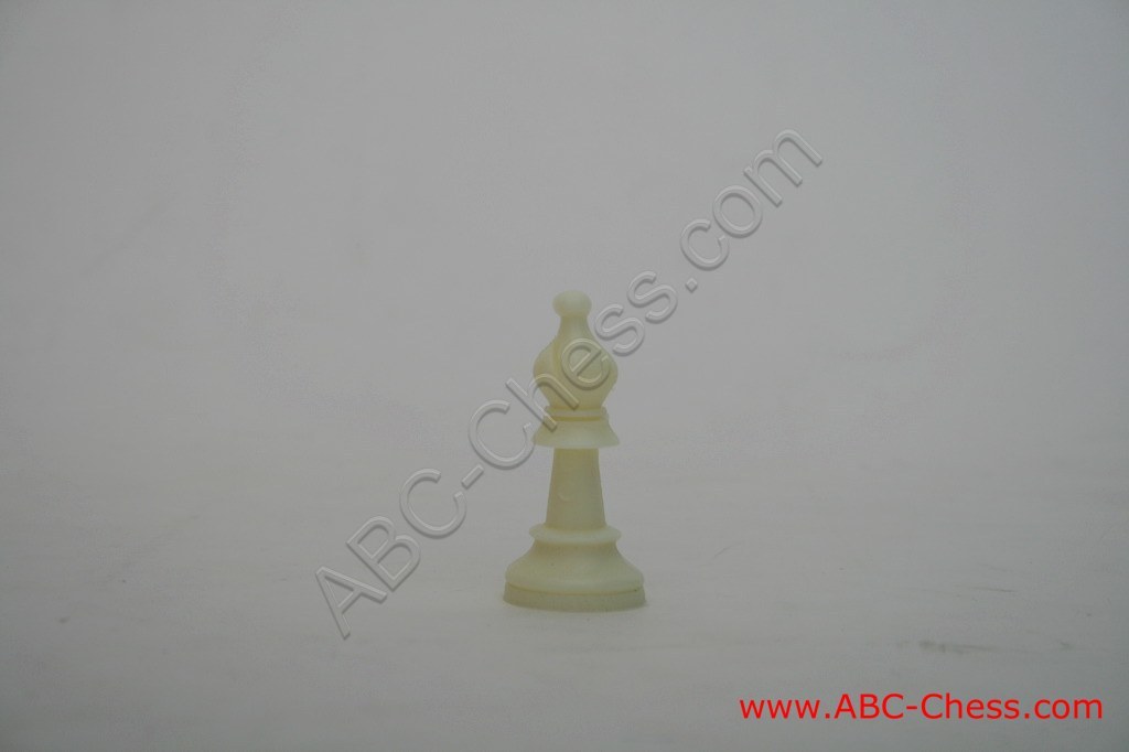plastic-chess-09.jpg