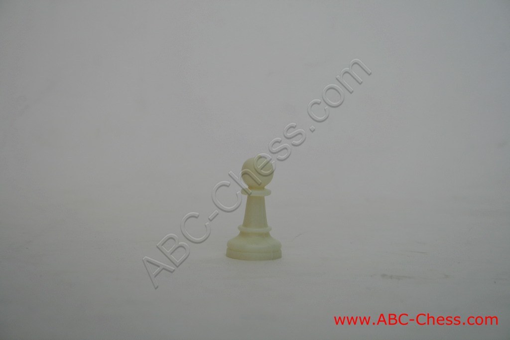 plastic-chess-12.jpg