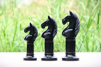 wood_horse_trophy_black_02