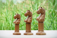 natural wood horse trophy