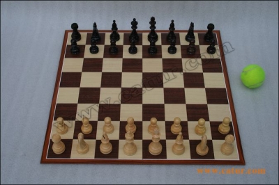 Low Cost Chess Pieces : Singosari