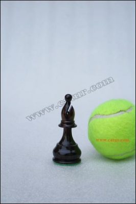 Low Cost Chess Pieces : Singosari