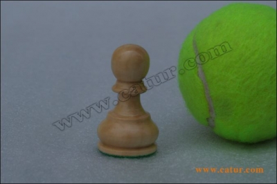 Low Cost Chess Pieces : Singosari