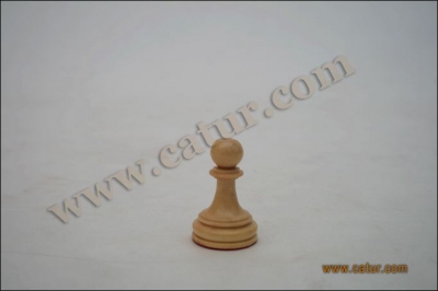 Low Cost Chess Pieces : Sriwijaya