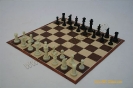 Plastic Chess