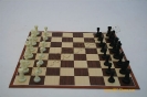 Plastic Chess