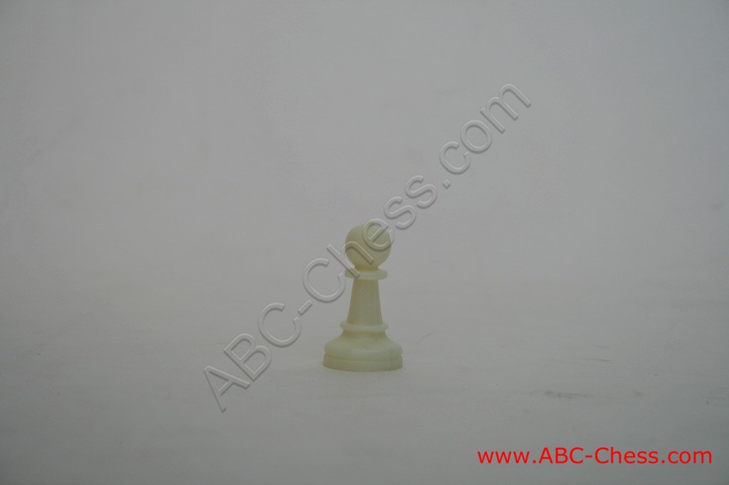 plastic-chess-12.jpg